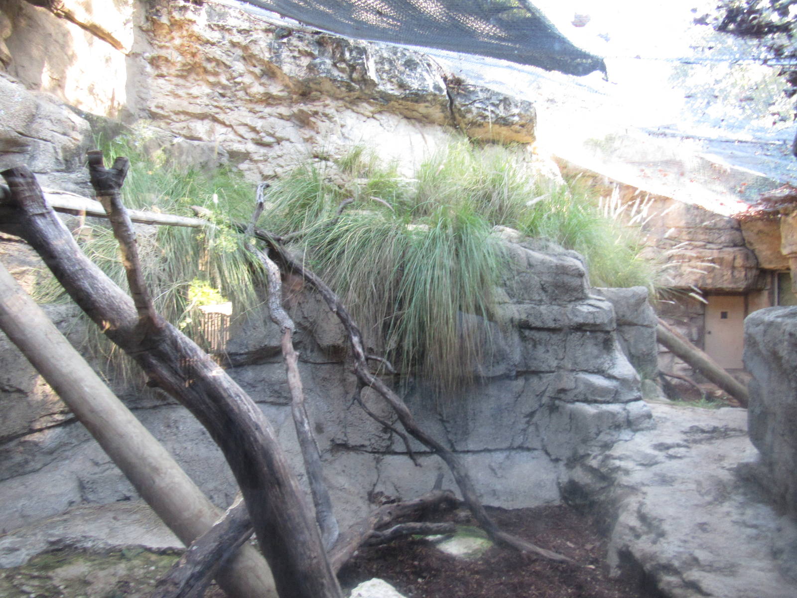 Clouded Leopard Habitat