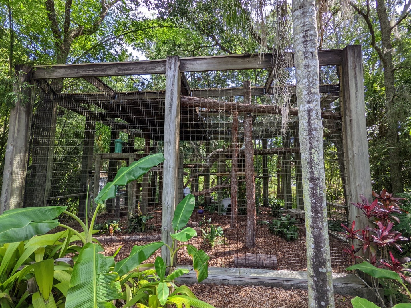Clouded leopard habitat