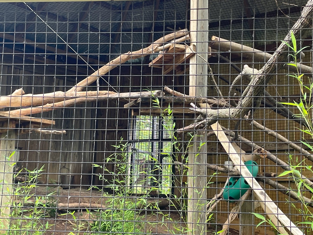 Clouded Leopard Habitat