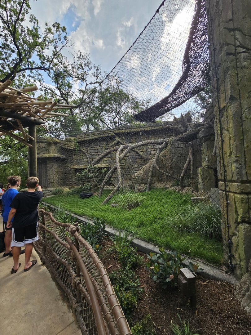 Clouded leopard habitat