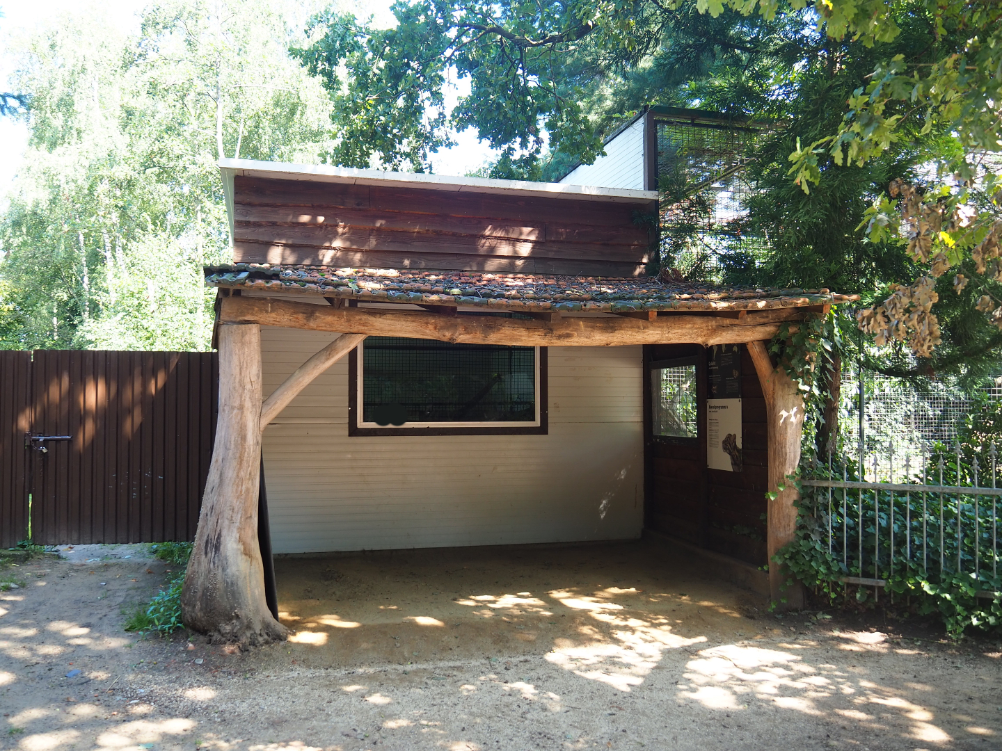 Clouded leopard house, 2019-08-04