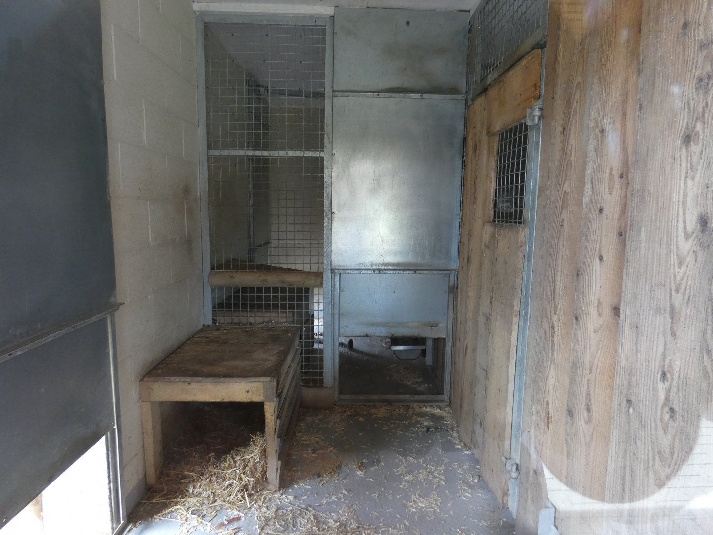Clouded Leopard indoor enclosure
