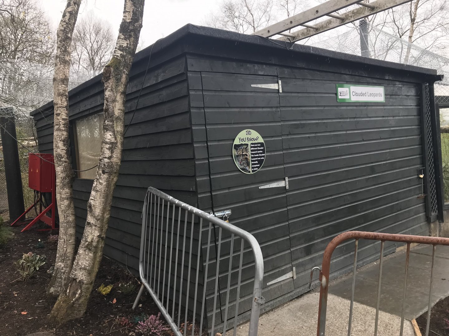 Clouded leopard indoor enclosure