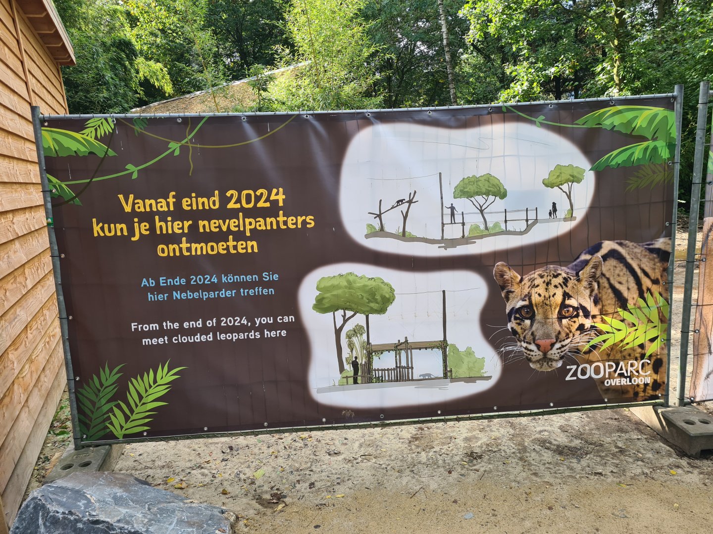 Clouded leopard plans