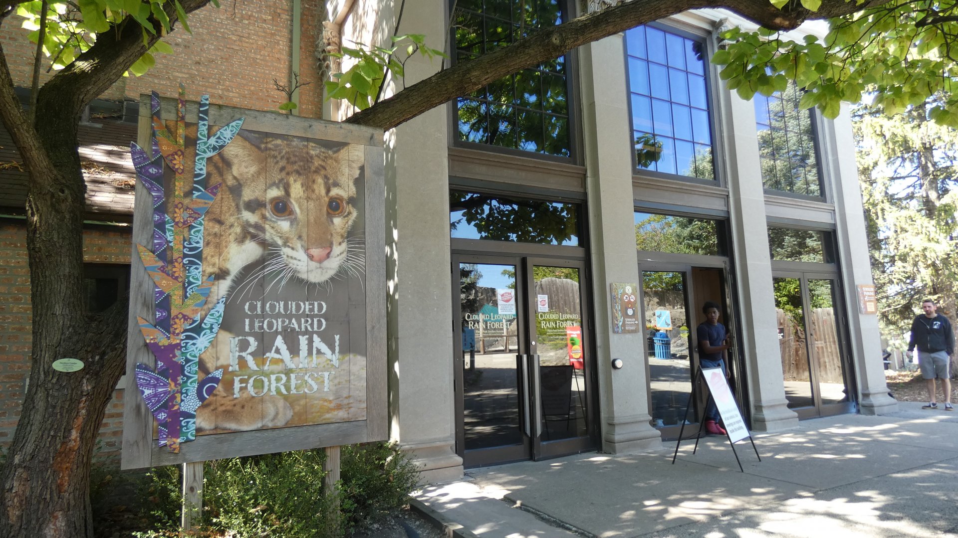 Clouded Leopard Rainforest - Sep. 2021