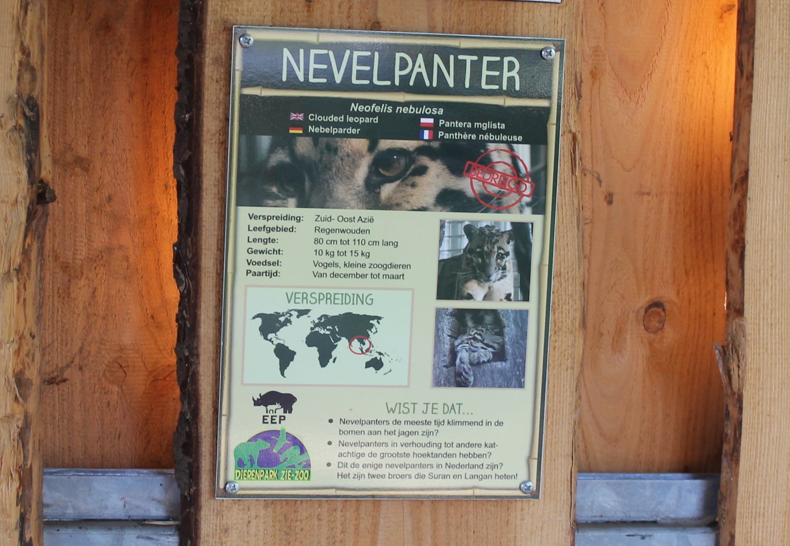 Clouded leopard Sign