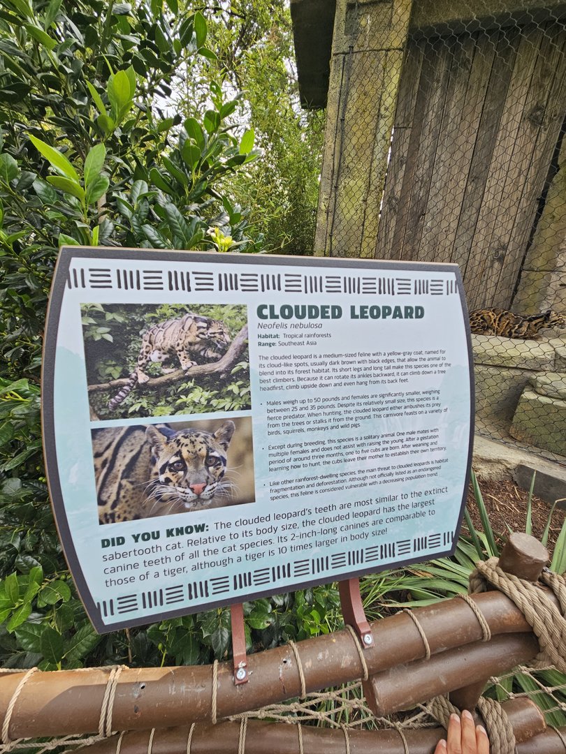 Clouded leopard sign