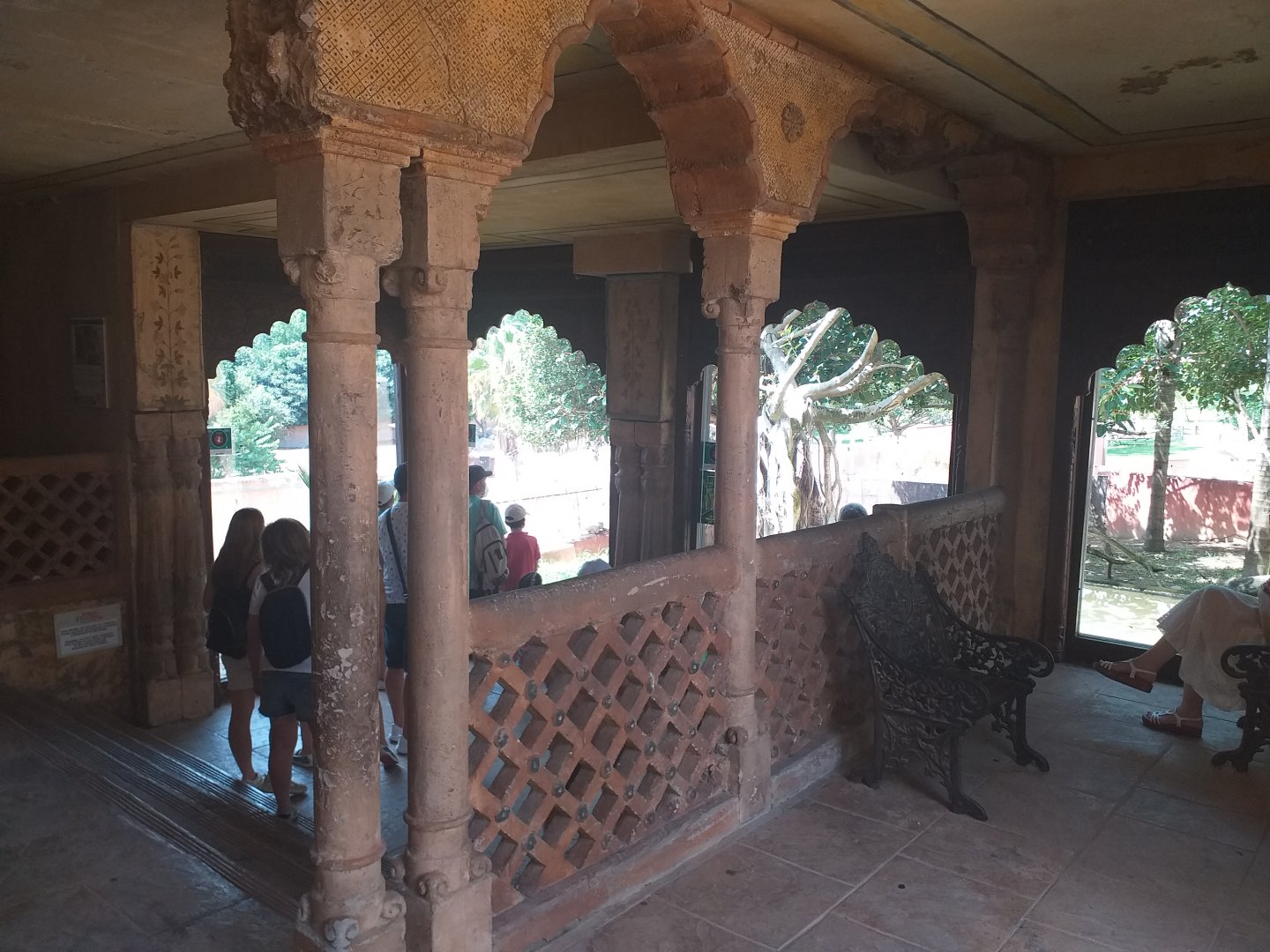 Clouded leopard temple -TerraNatura Benidorm (2021)