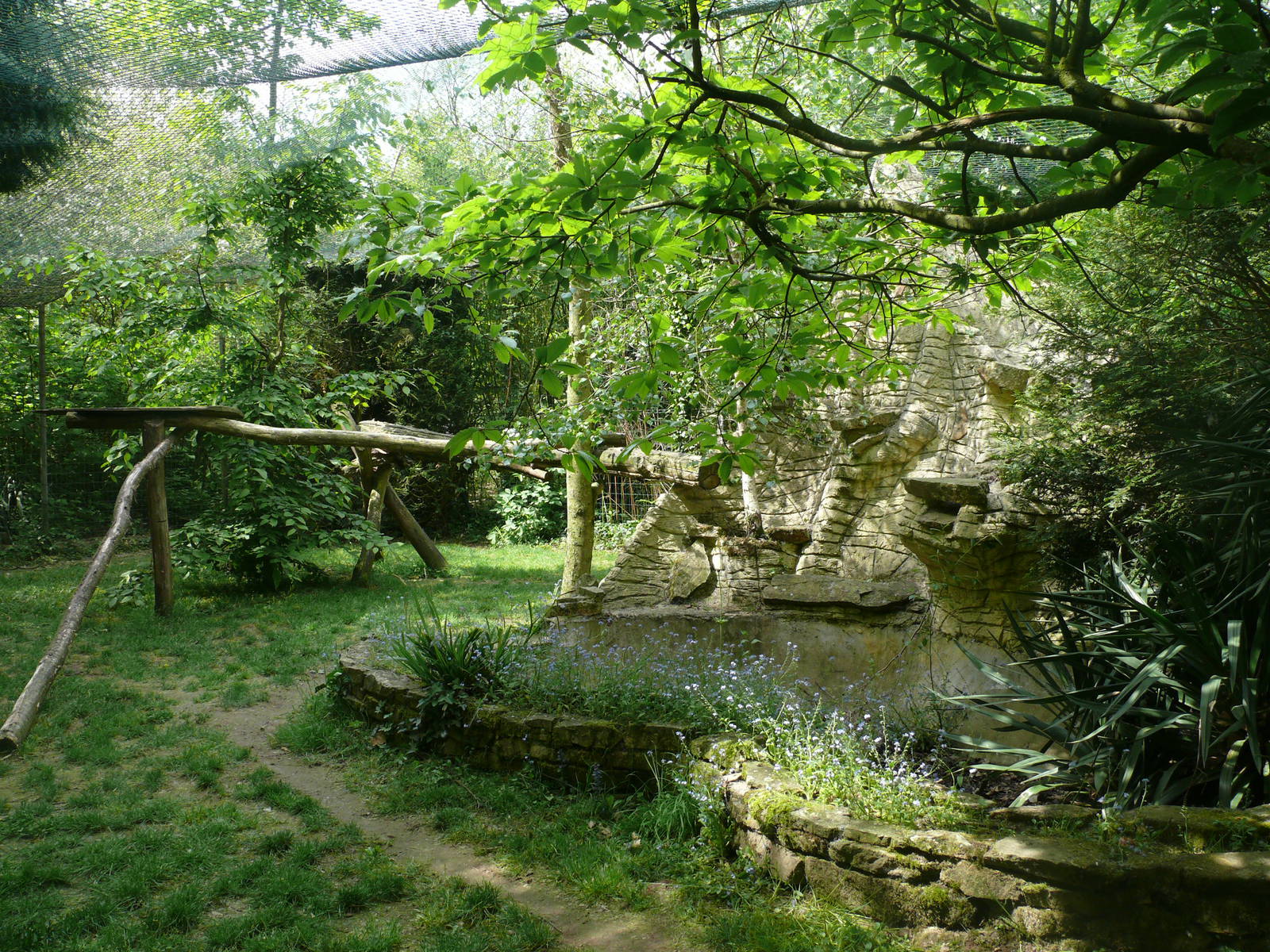 Clouded leopards exhibit