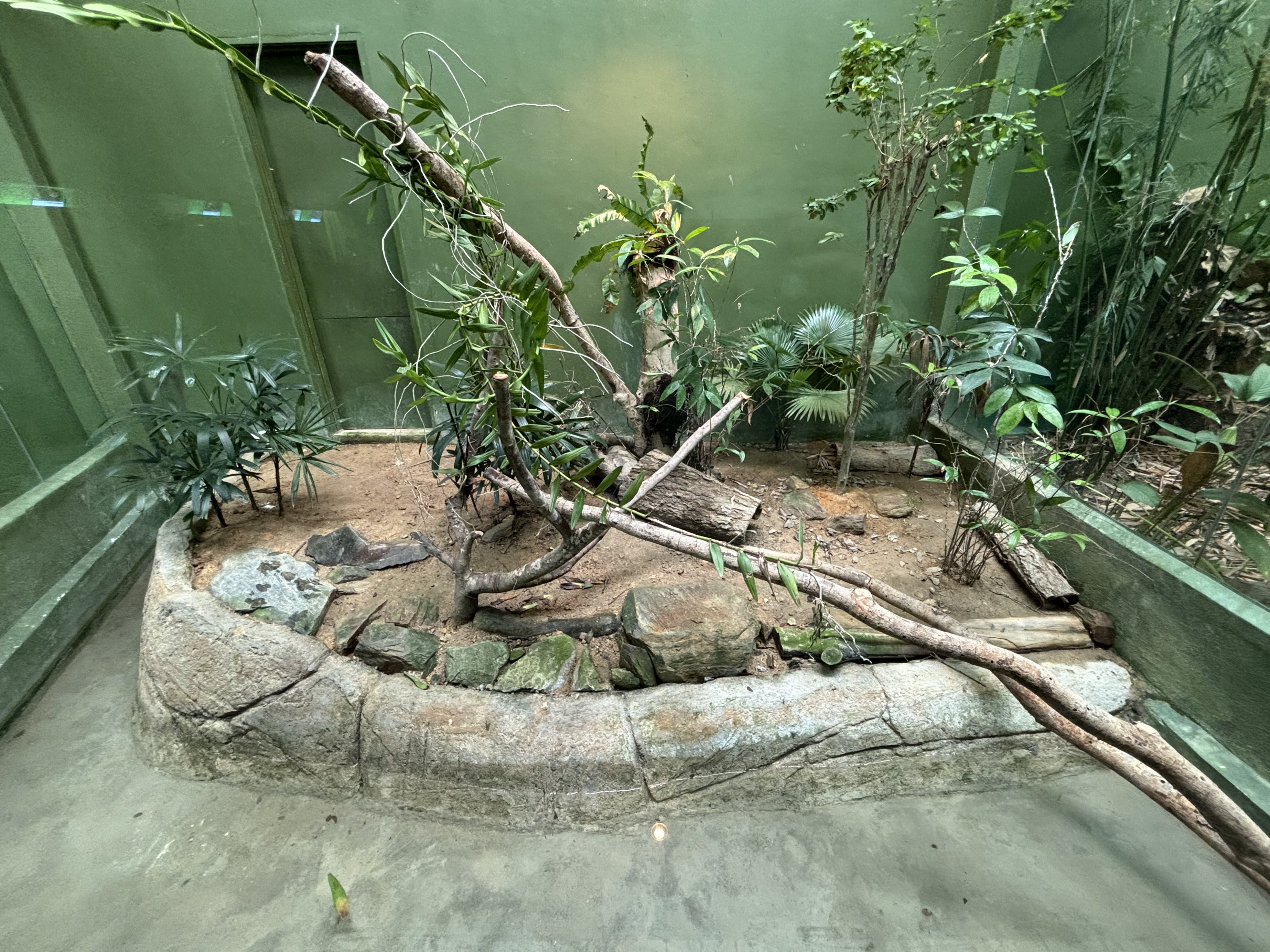 Clouded Monitor Exhibit