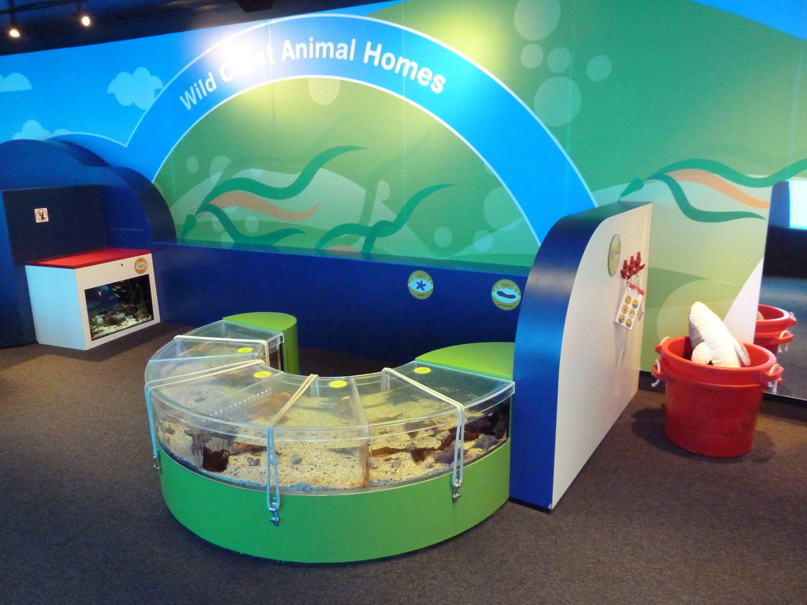 Clownfish Cove - Kiddie Zone