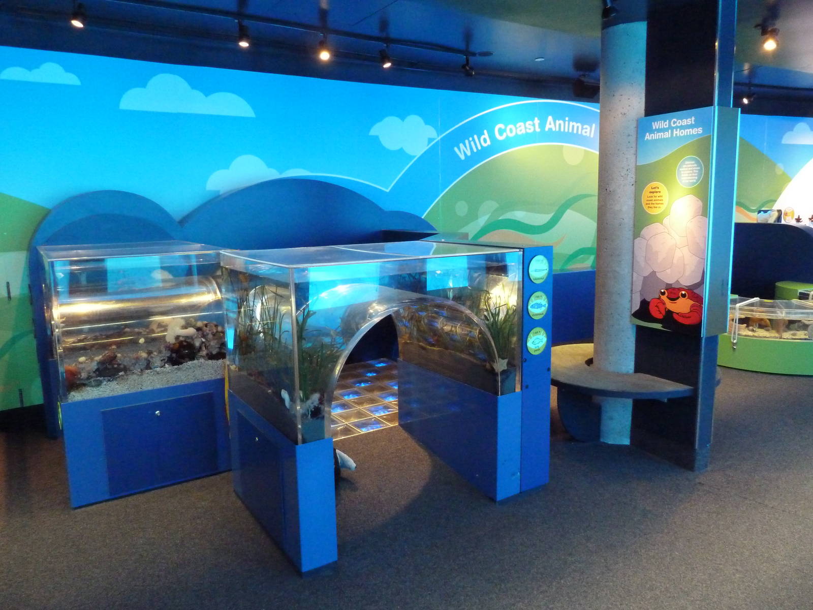 Clownfish Cove - Kiddie Zone