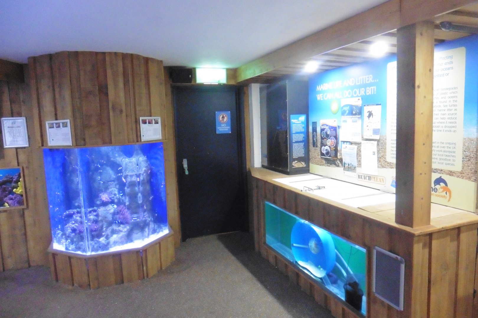 Clownfish tank and invert/reptile interaction/talk space - SeaLife Adventures