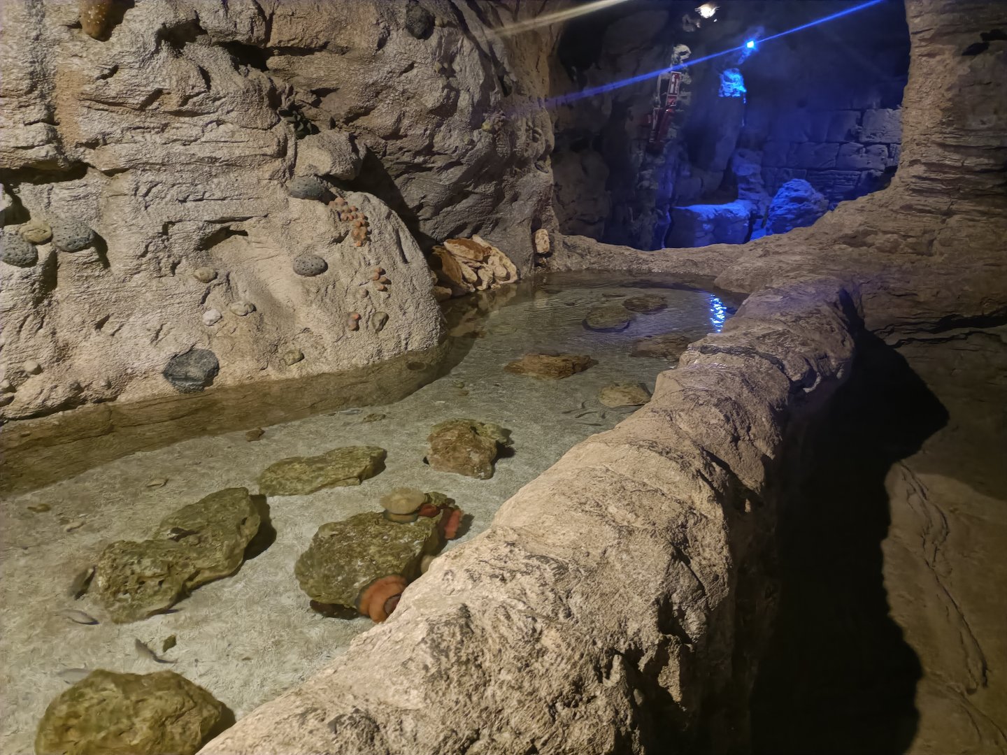 Coast aquarium - Centro de visitantes Ses Salines