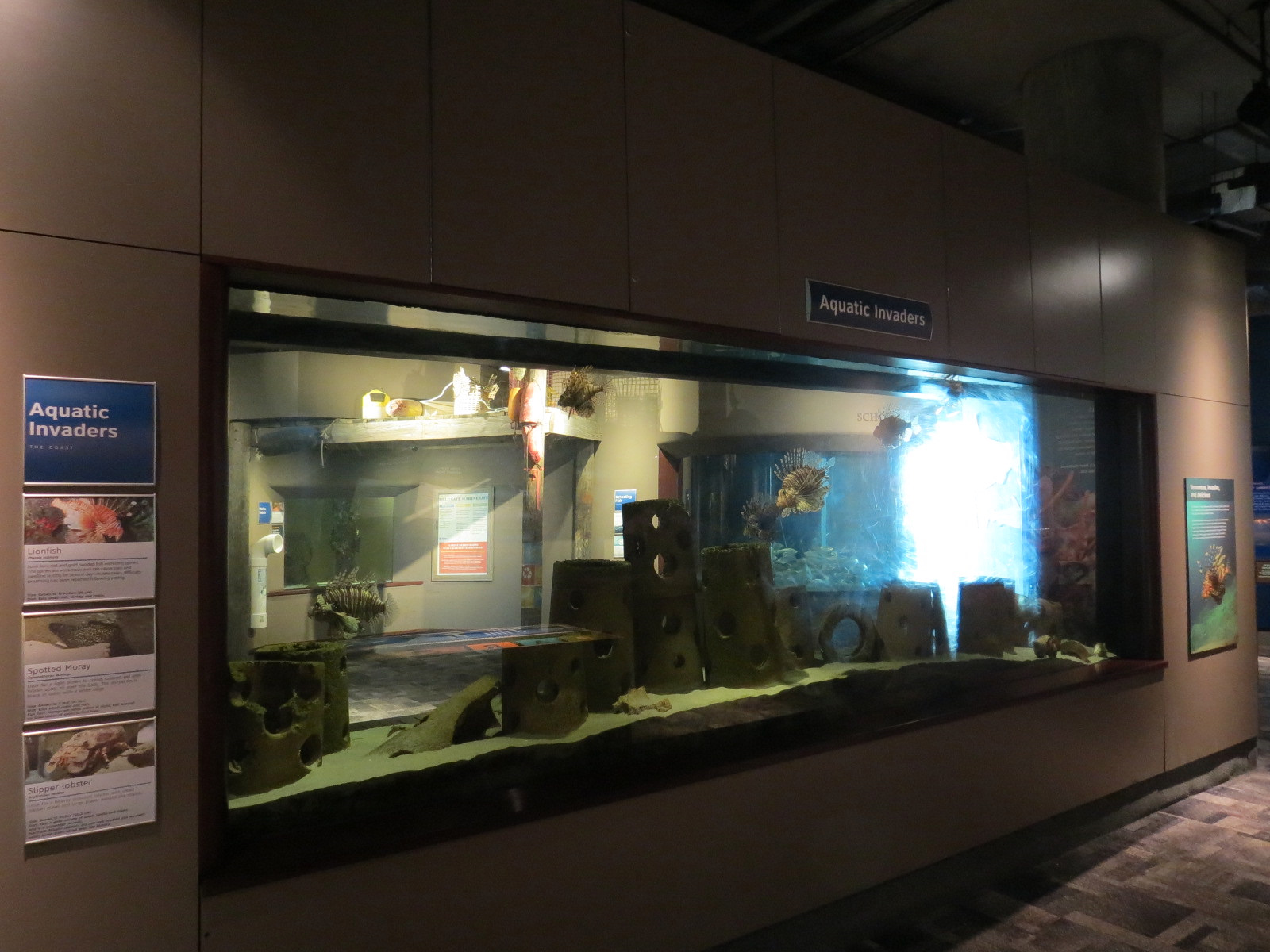 Coast - Aquatic Invaders Exhibit