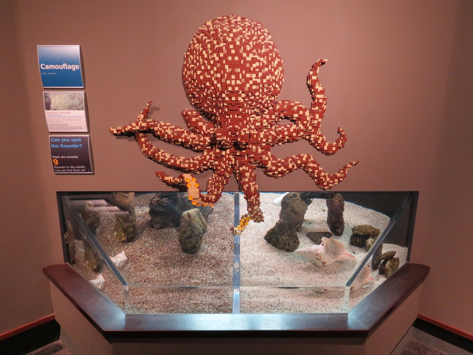 Coast - Camouflage Exhibits