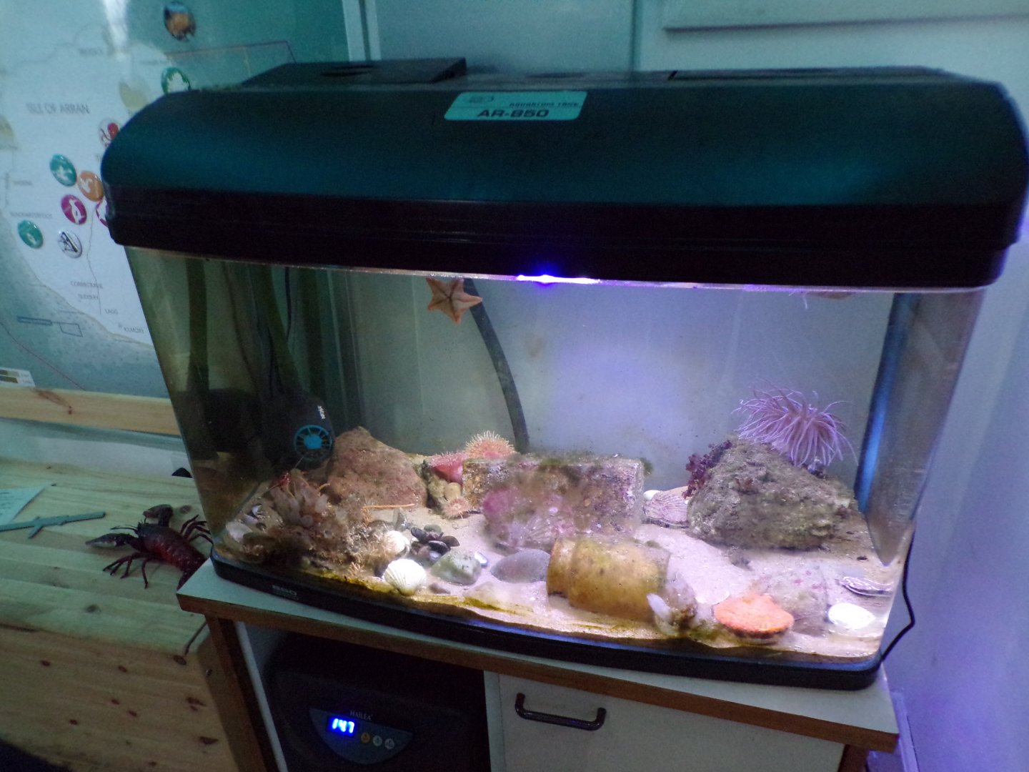 COAST Discovery centre- example of tank 17.9.23