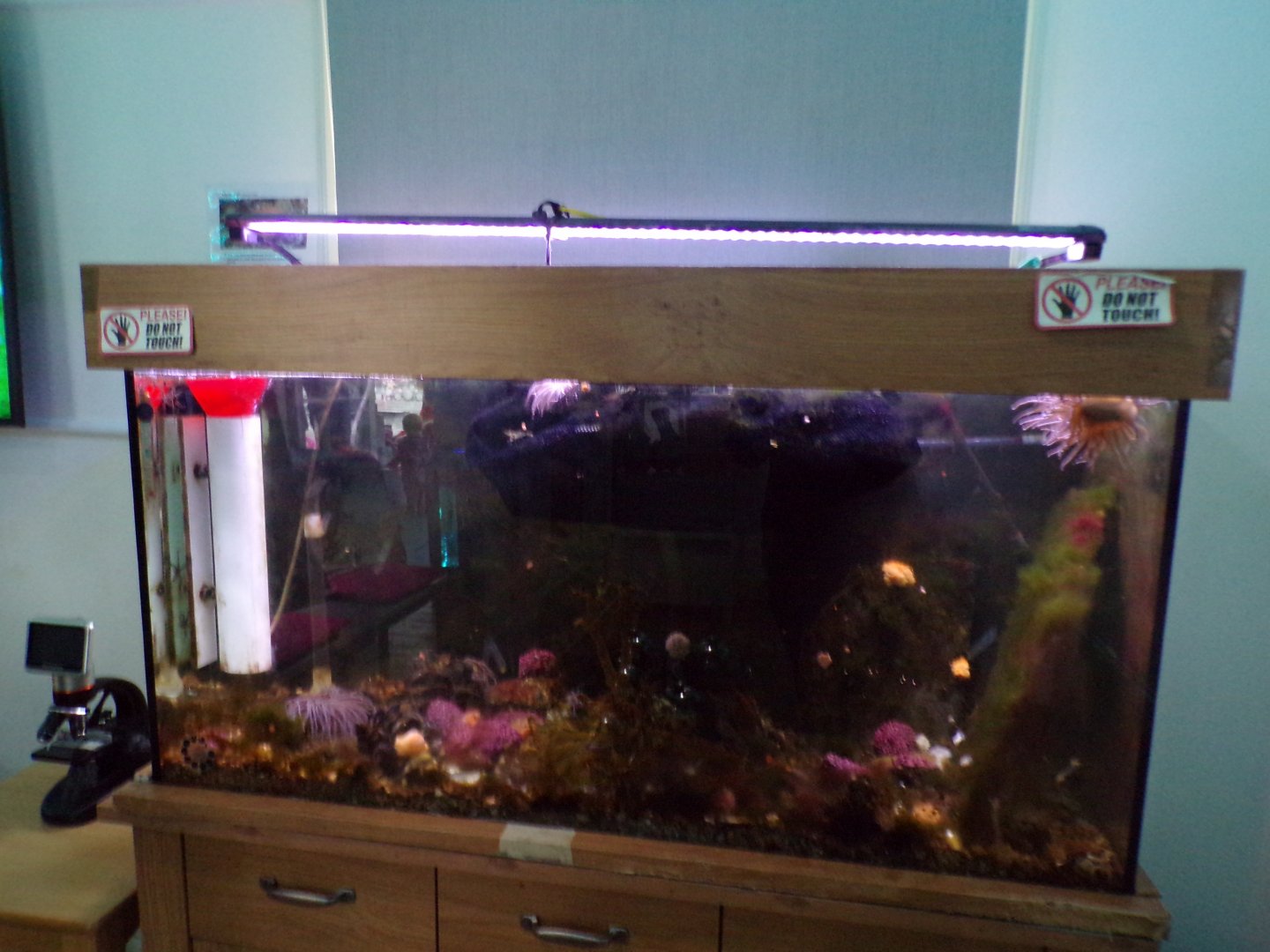 COAST Discovery Centre- example of tank 17.9.23