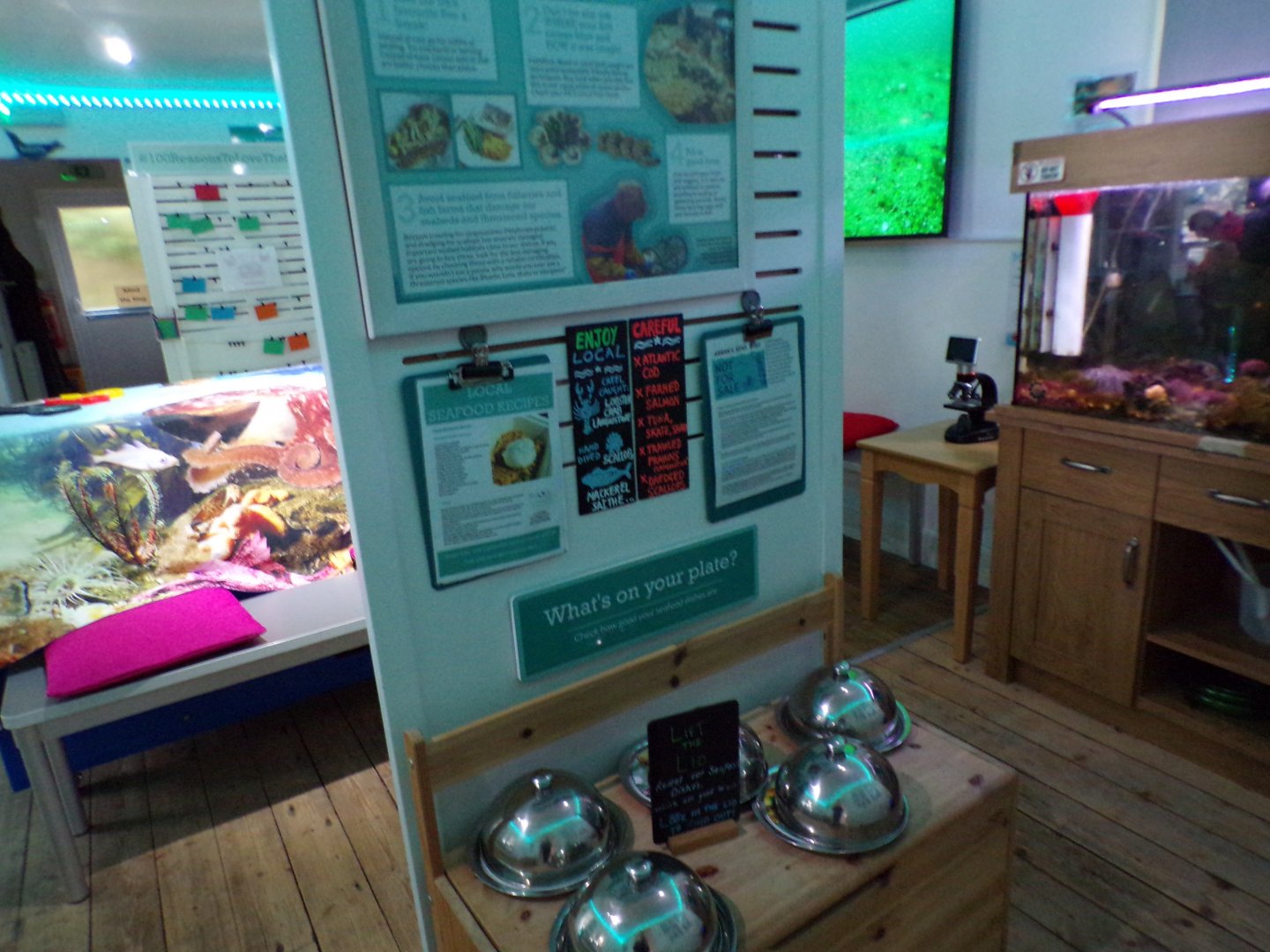 COAST Discovery centre- interactive signage 17.9.23