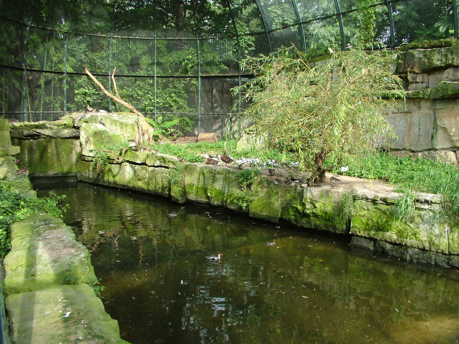 Coastal Aviary at Berlin Zoo, 31/08/11
