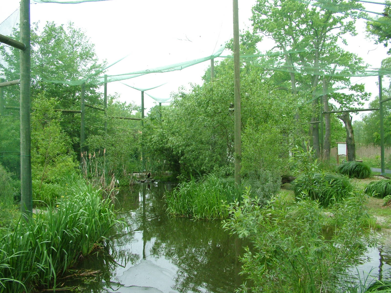 Coastal aviary at Ohrada, 26/05/10