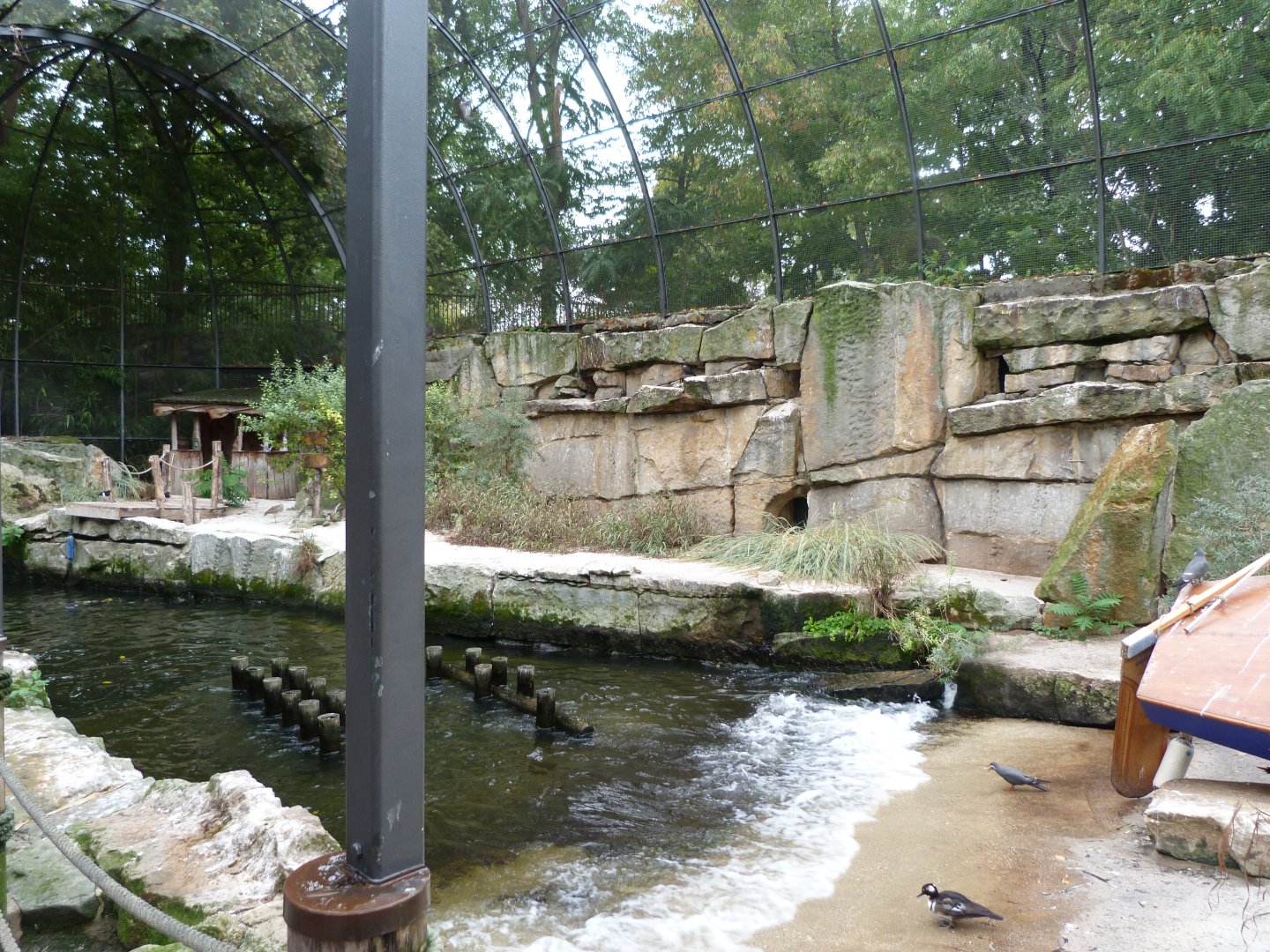 Coastal aviary -Zoologischer Garten Berlin (2024)