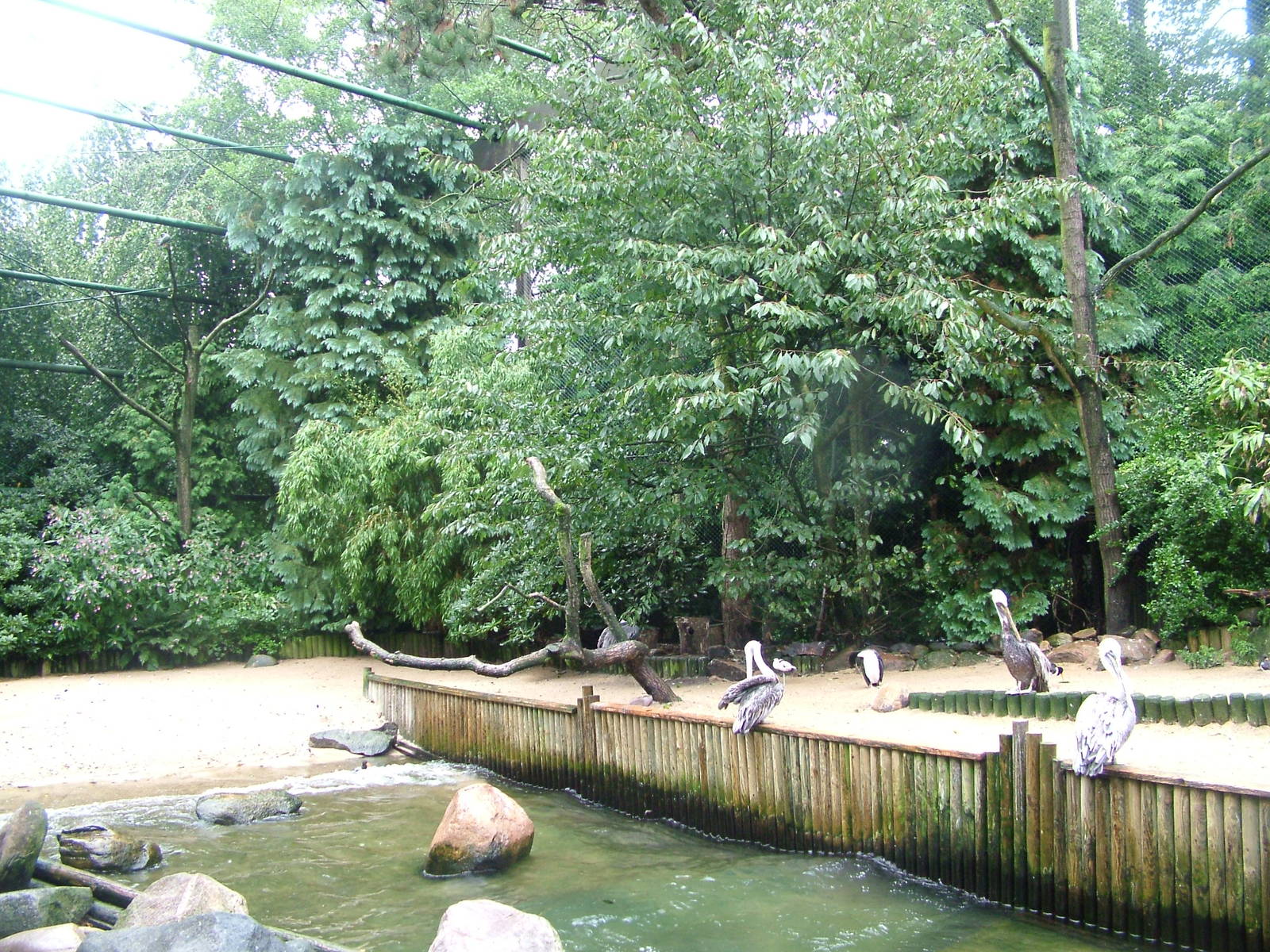 Coastal birds aviary at Walsrode 2007