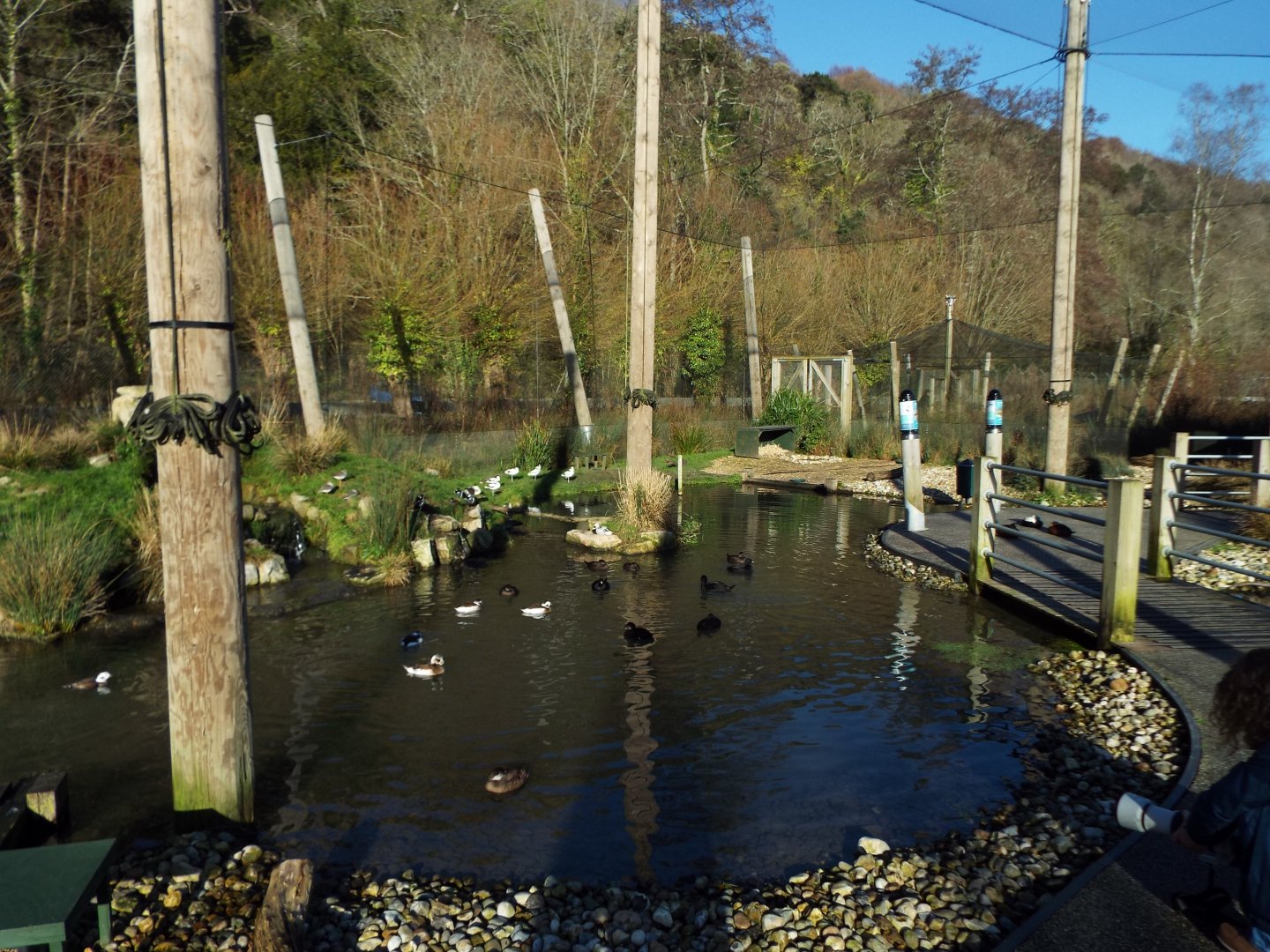 Coastal Creek 3, WWT Arundel