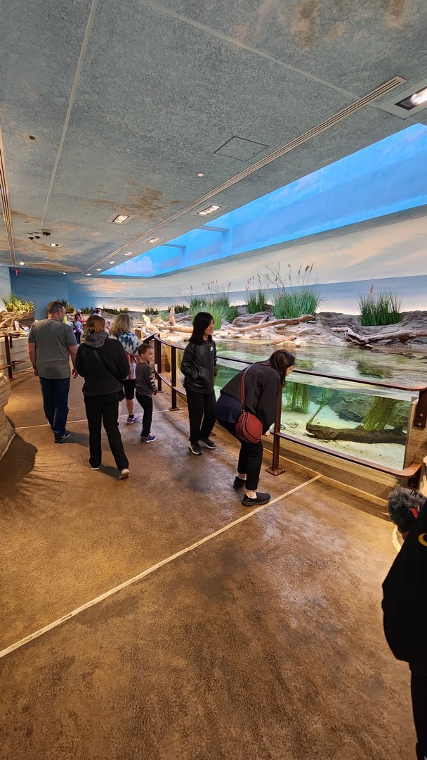 Coastal Exhibit