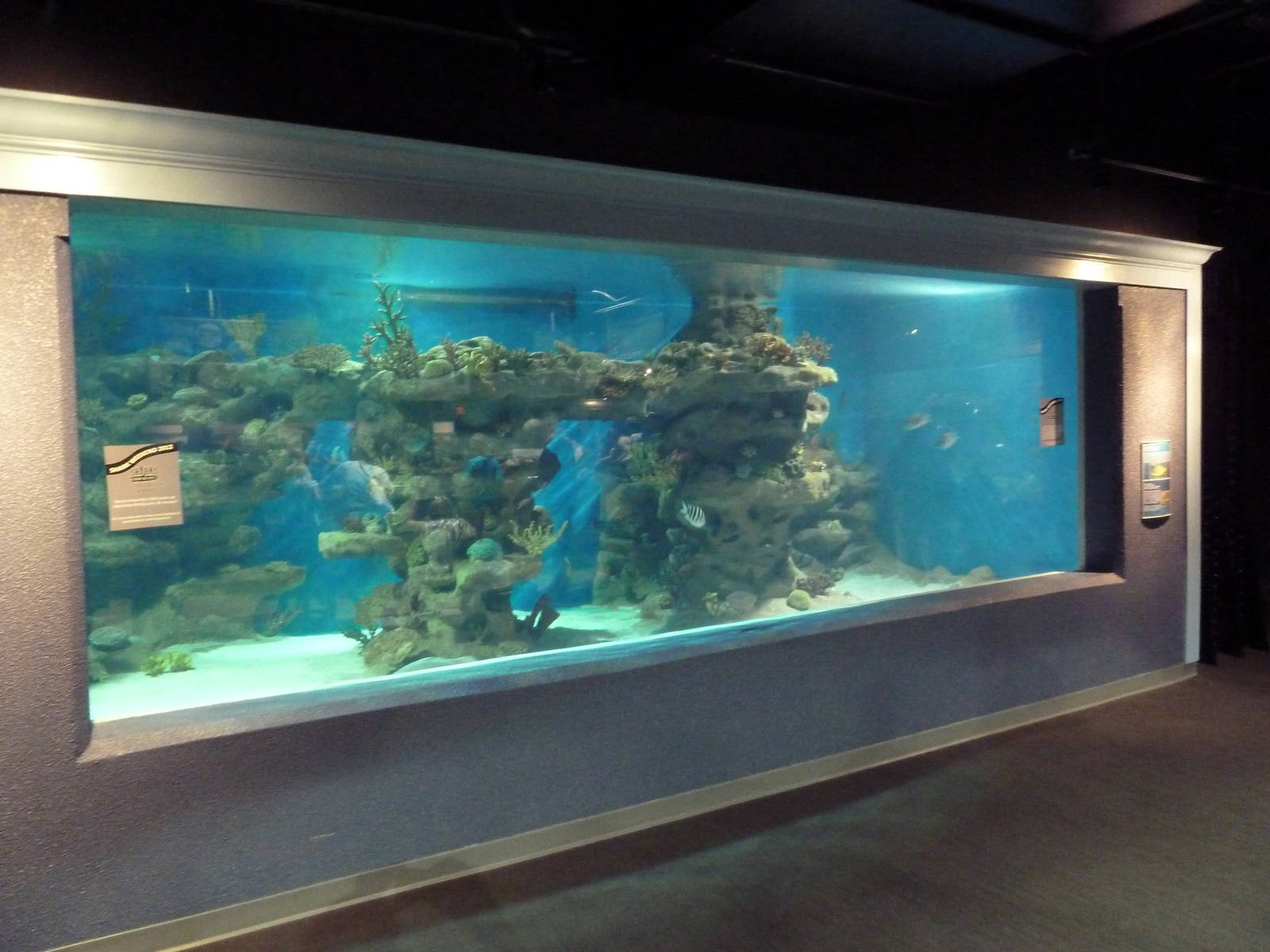 Coastal Gallery - Cave Exhibit