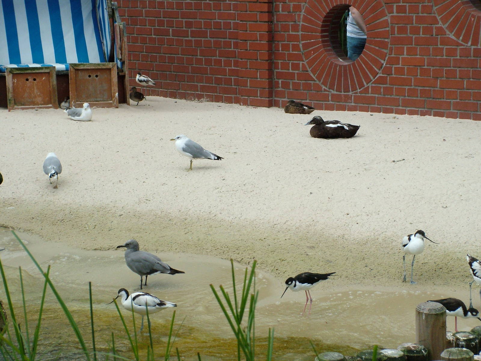 Coastal Panorama at Heidelberg, 05/09/10