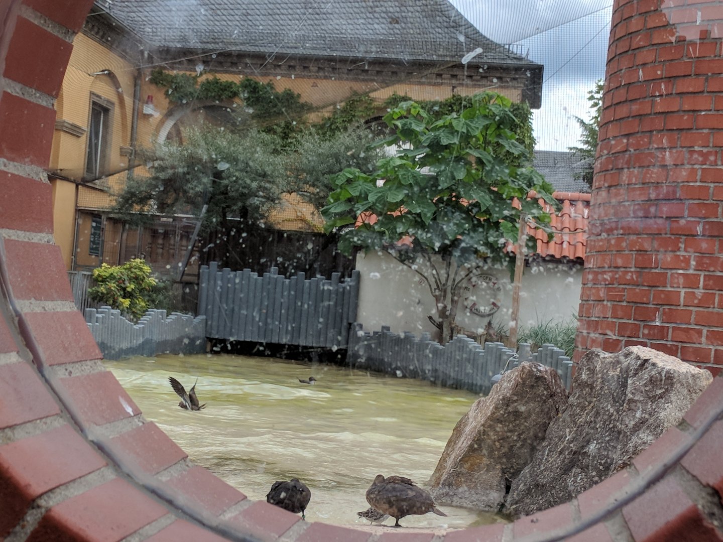 Coastal Panorama Sea Bird Aviary View from Outside of the Aviary