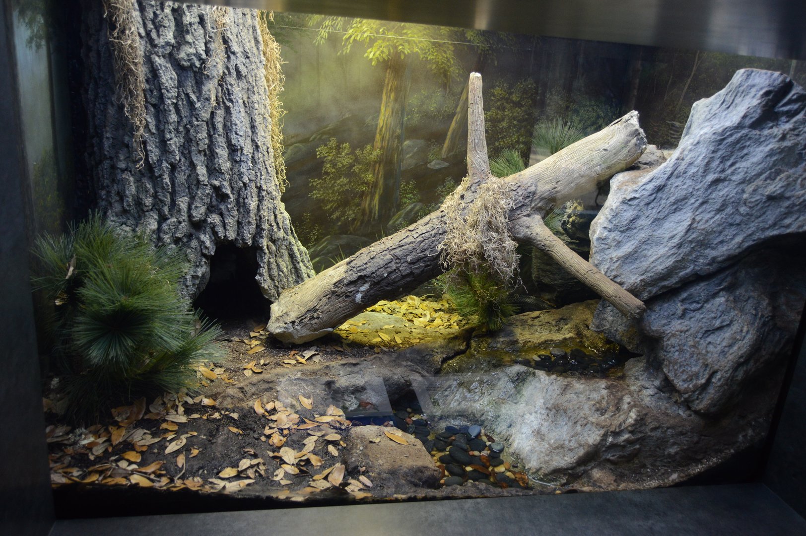 Coastal River - Snake Exhibit