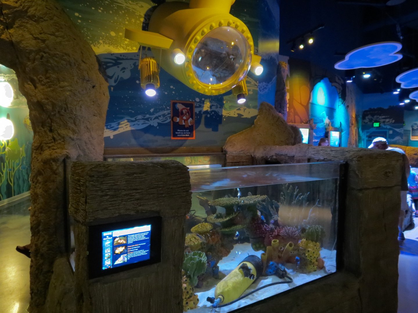 Coastal Rockpools Exhibits