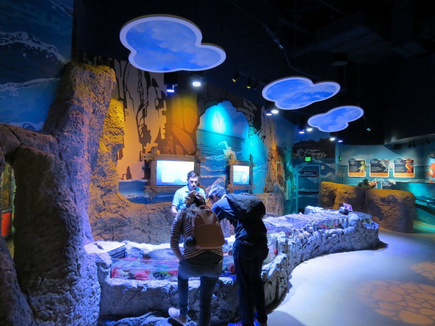 Coastal Rockpools Exhibits