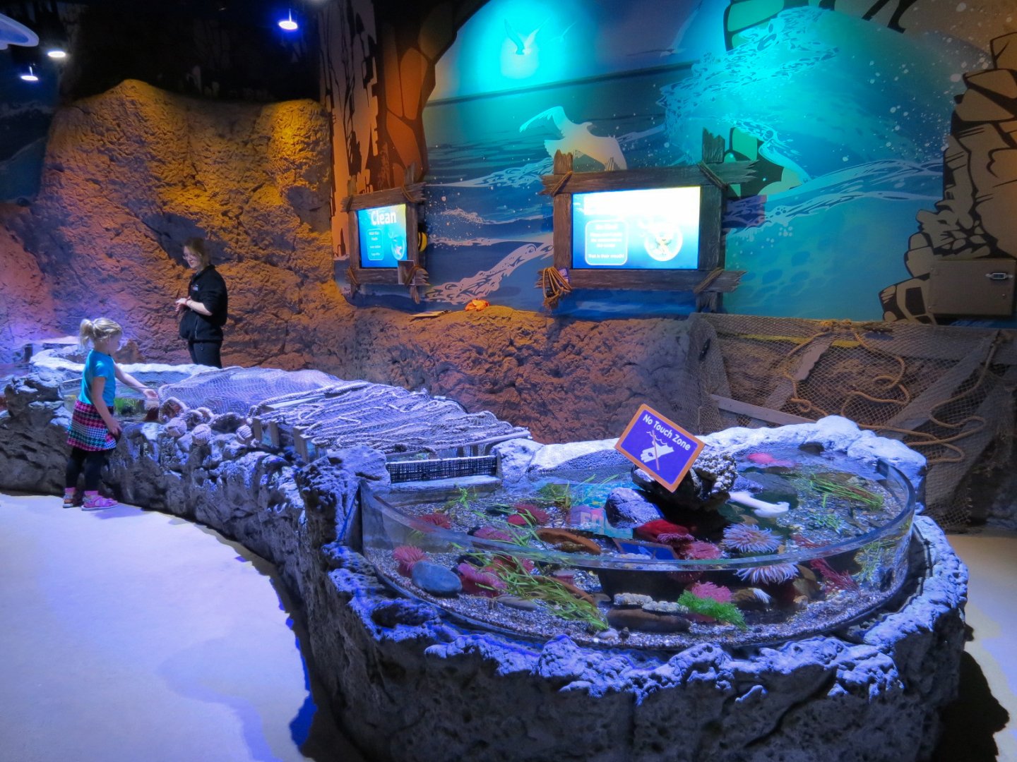 Coastal Rockpools Exhibits