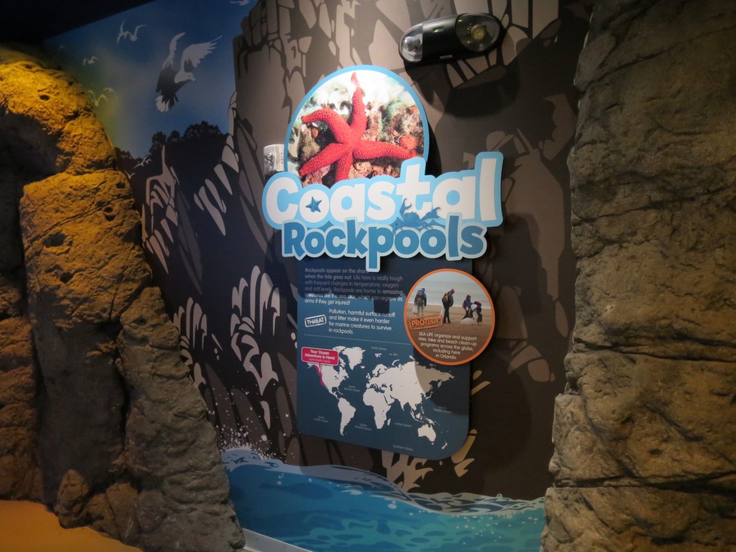 Coastal Rockpools Sign