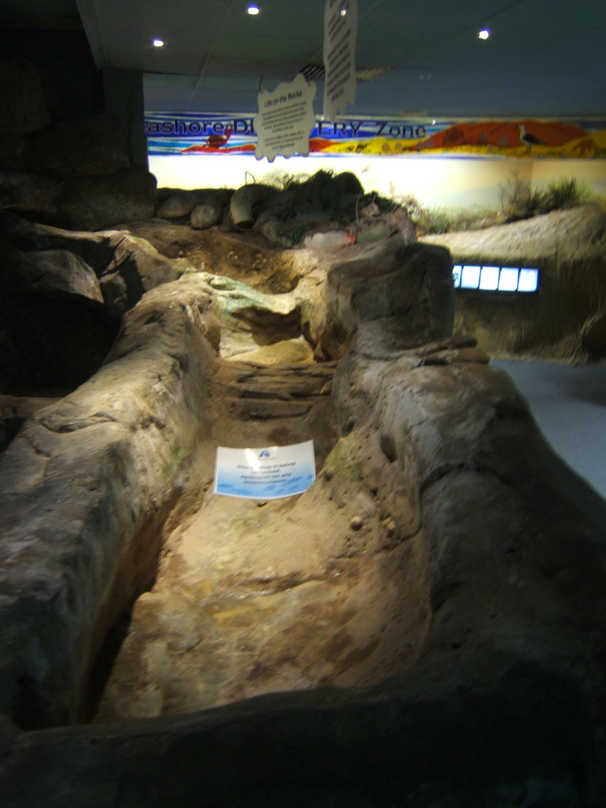 Coastal stream exhibit be re-furbed