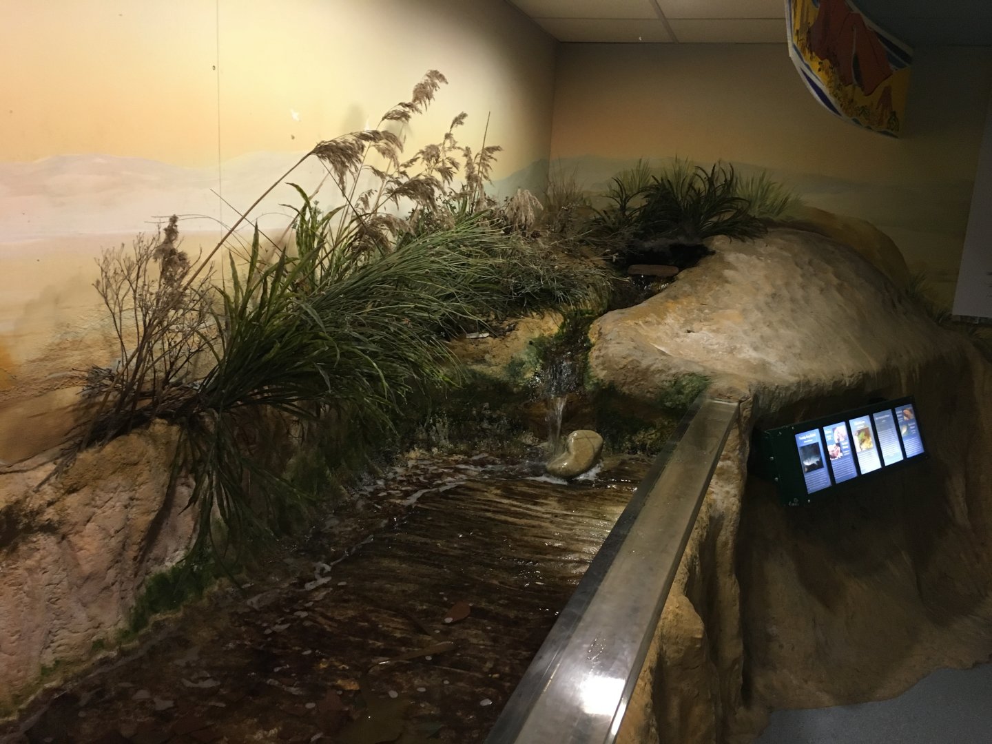 Coastal themed exhibit 030817