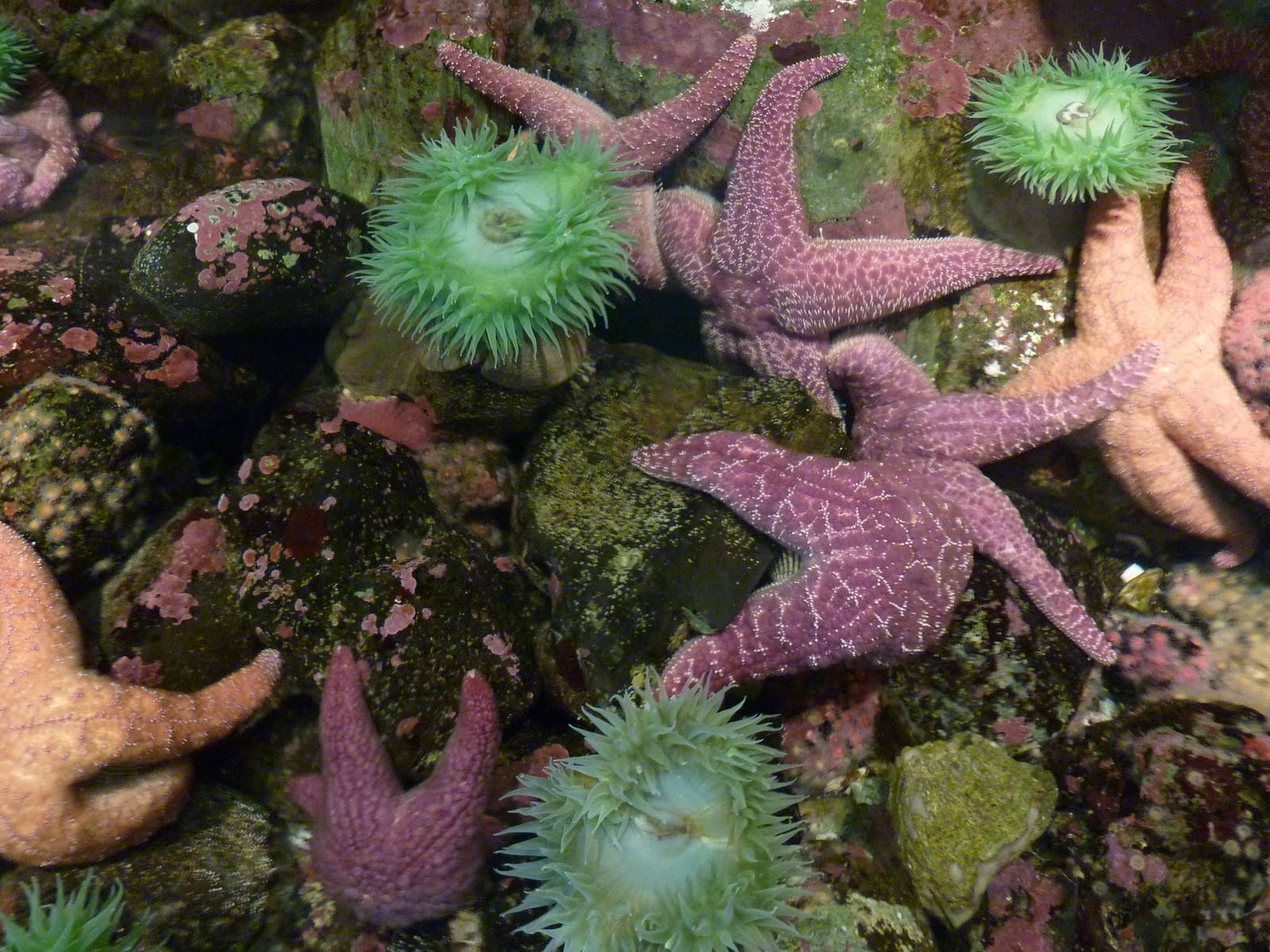 Coastal Waters Exhibits