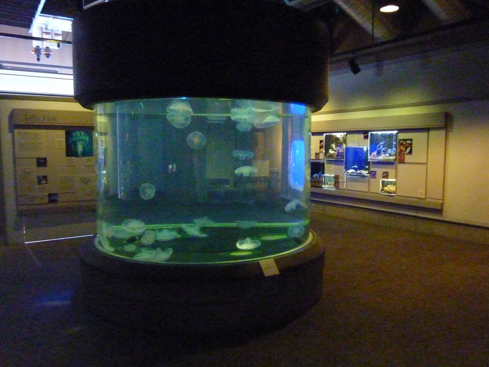 Coastal Waters Exhibits