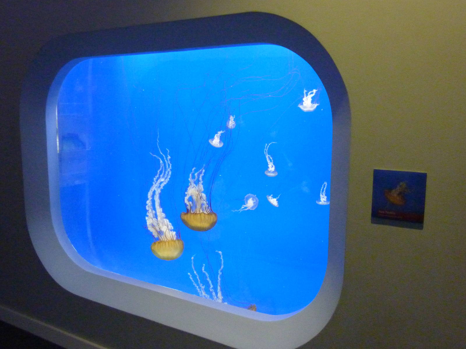 Coastal Waters Exhibits