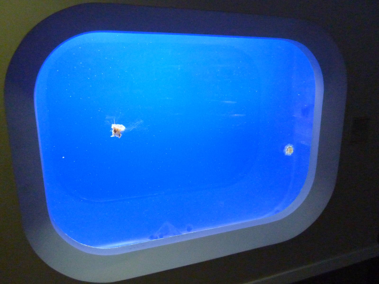 Coastal Waters Exhibits