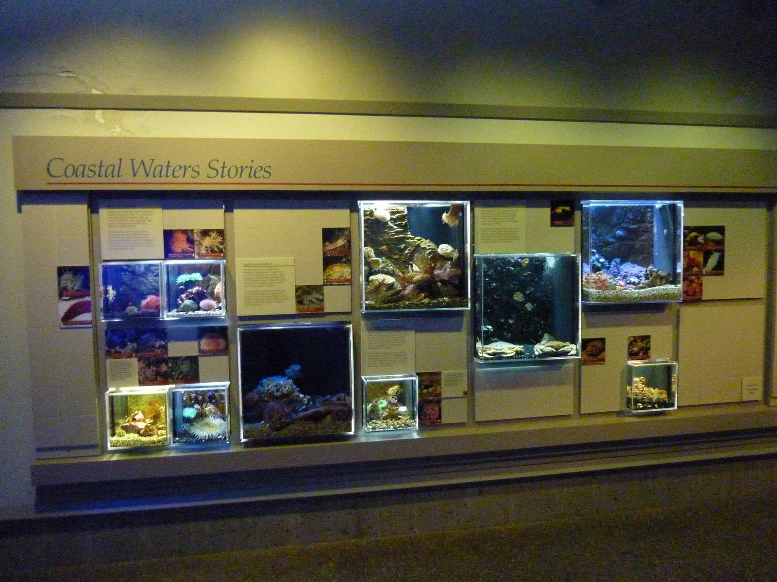 Coastal Waters Exhibits