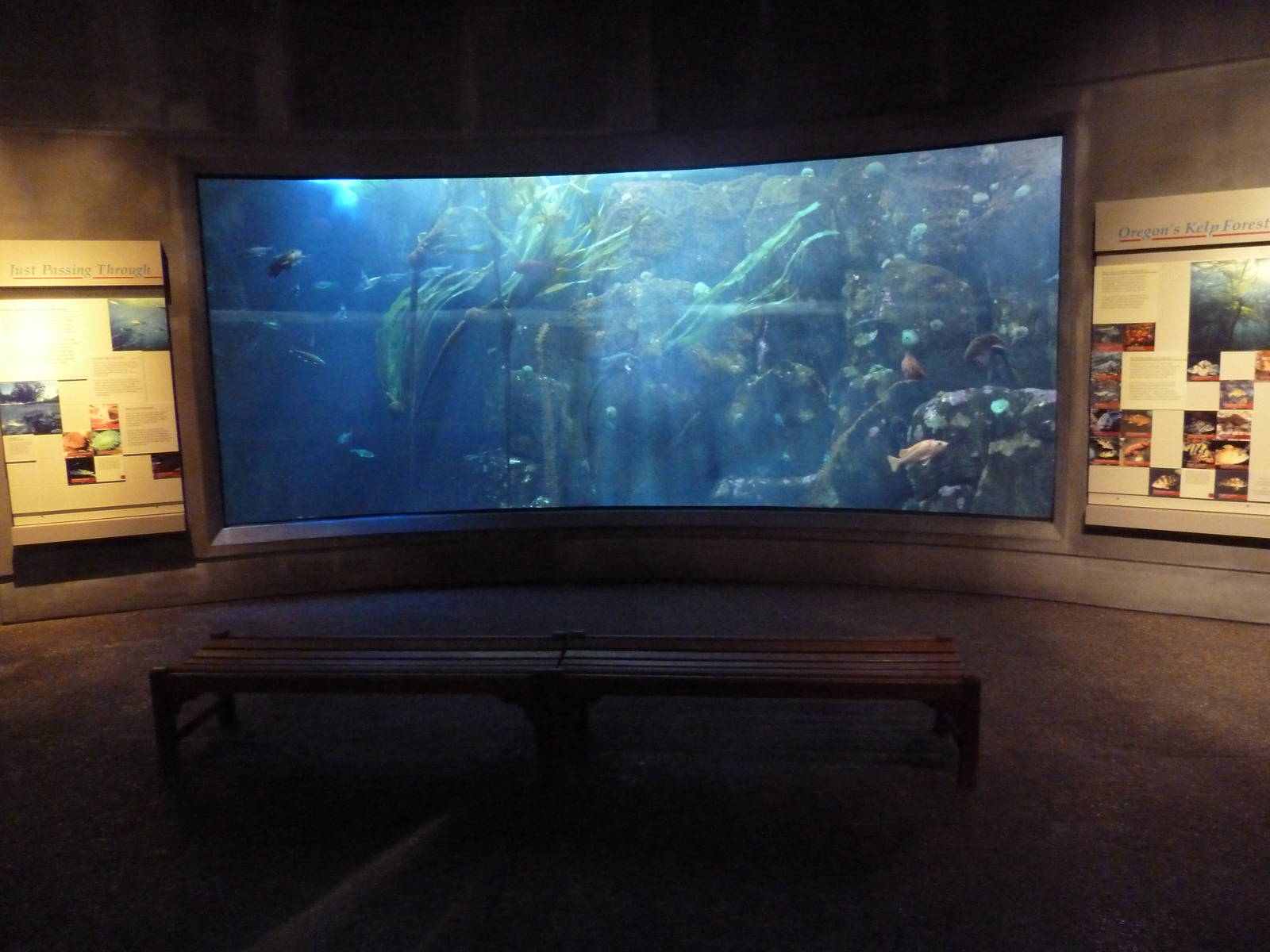 Coastal Waters Gallery