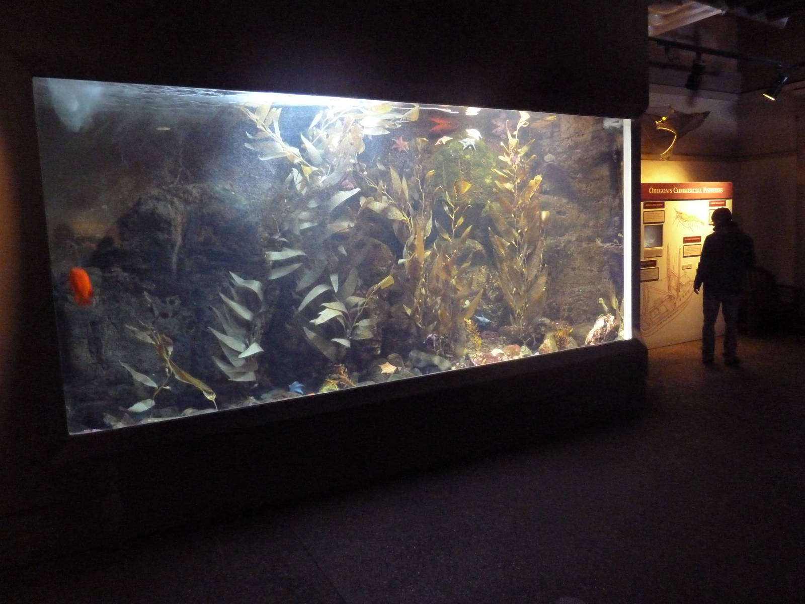 Coastal Waters Gallery