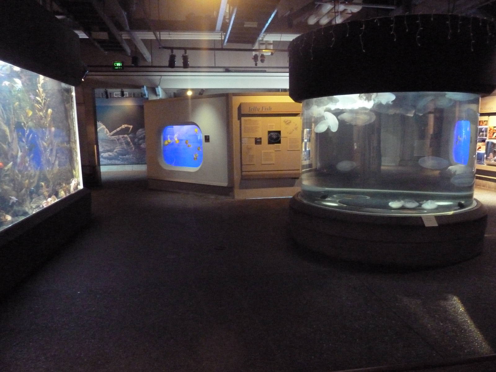 Coastal Waters Gallery