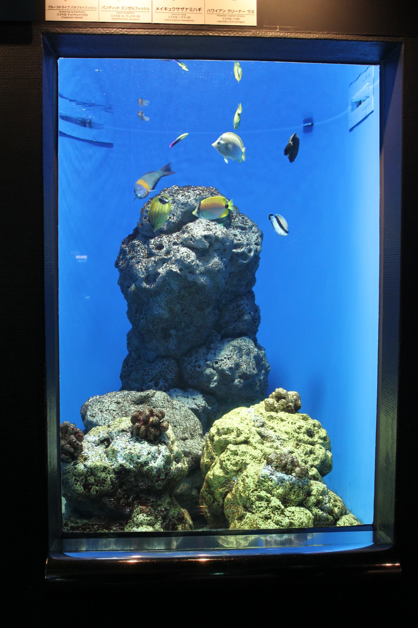 Coastal Waters of Hawaii