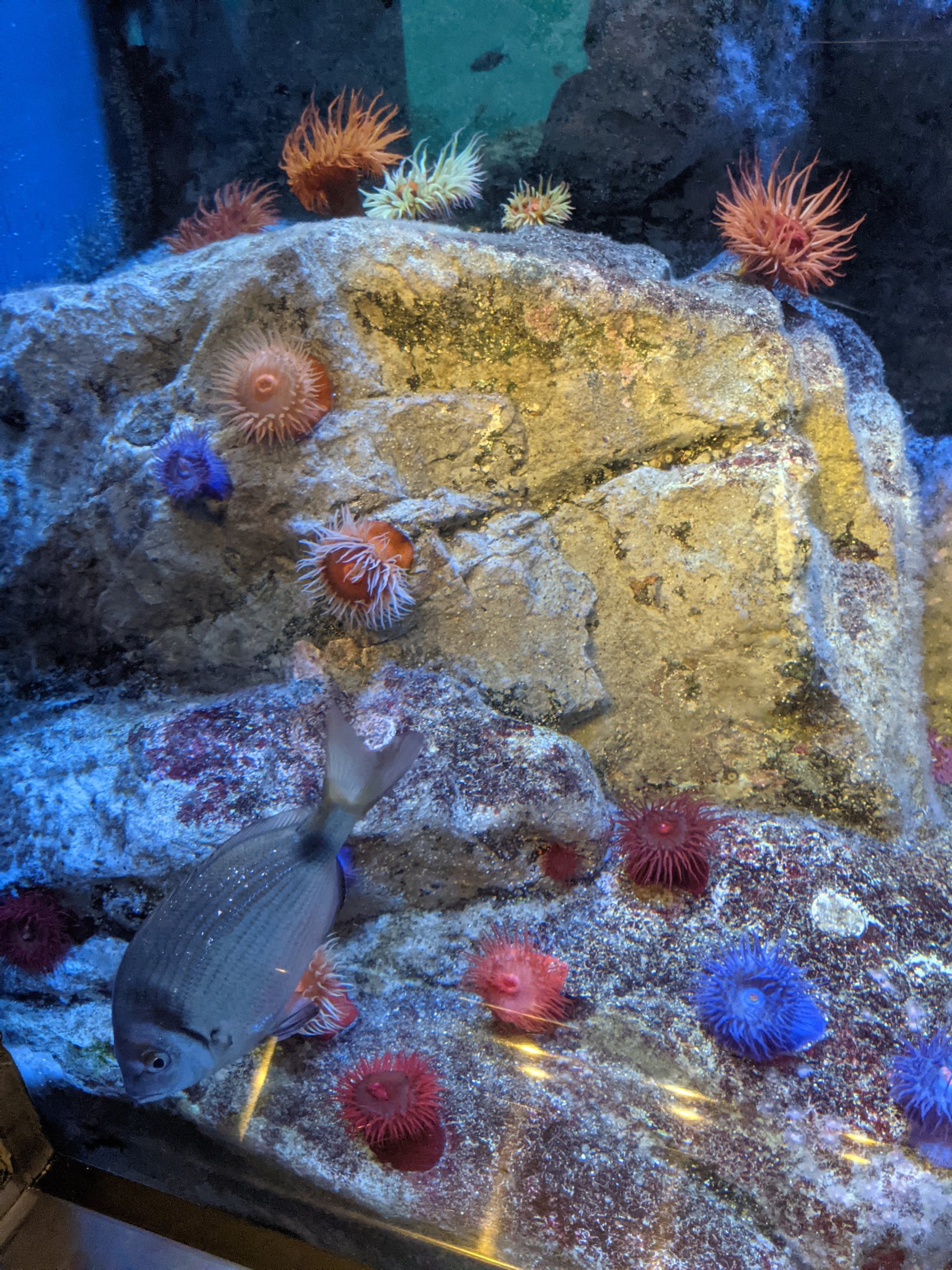 Coastal Waters of South Africa