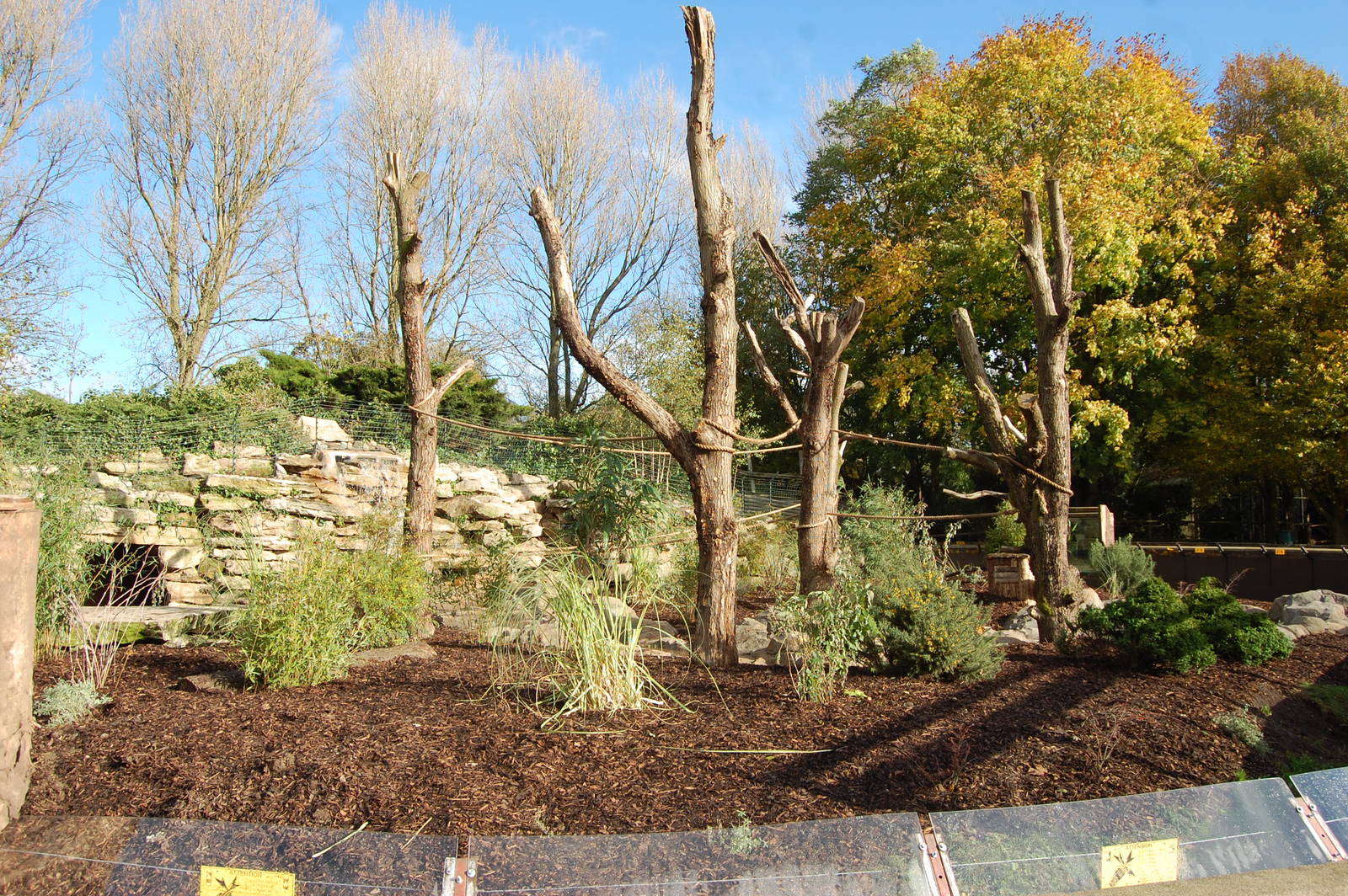 Coati and Bush Dog Exhibit